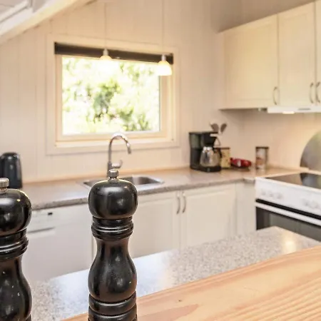 Feriehus 8 Person Holiday In Bl Vand *